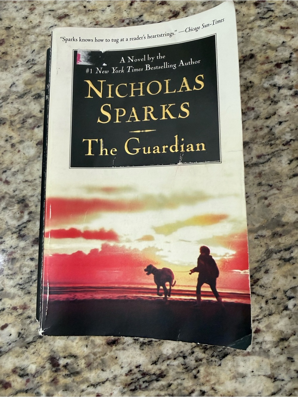 Nicholas Sparks The Guardian Paperback Romantic Suspense Thriller